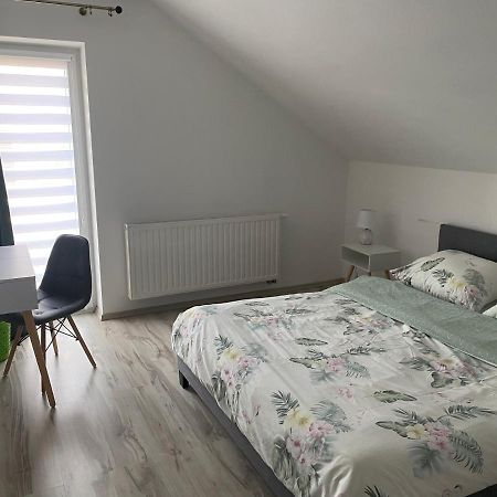 Apartamenty - Pod Wierzbami Dwikozy Buitenkant foto
