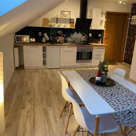 Apartamenty - Pod Wierzbami Dwikozy Buitenkant foto