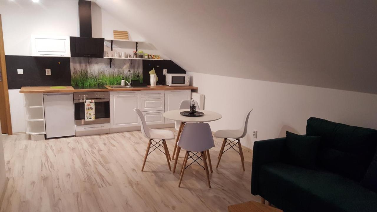 Apartamenty - Pod Wierzbami Dwikozy Buitenkant foto