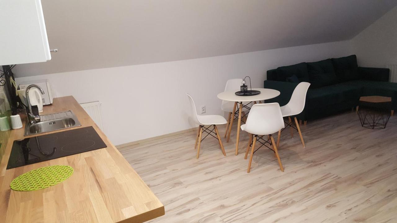 Apartamenty - Pod Wierzbami Dwikozy Buitenkant foto
