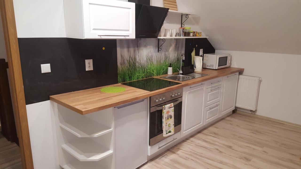 Apartamenty - Pod Wierzbami Dwikozy Buitenkant foto