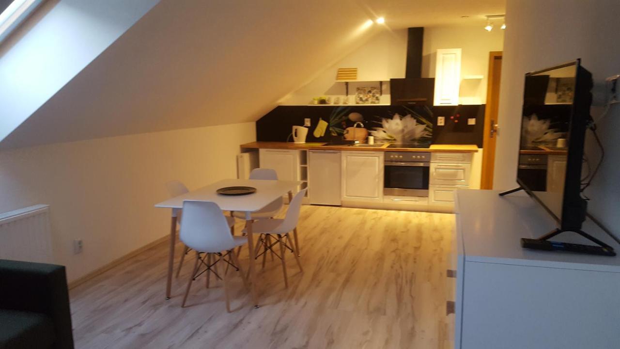 Apartamenty - Pod Wierzbami Dwikozy Buitenkant foto