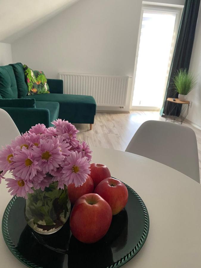 Apartamenty - Pod Wierzbami Dwikozy Buitenkant foto