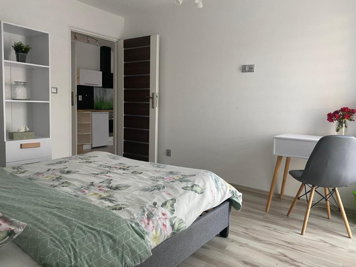 Apartamenty - Pod Wierzbami Dwikozy Buitenkant foto