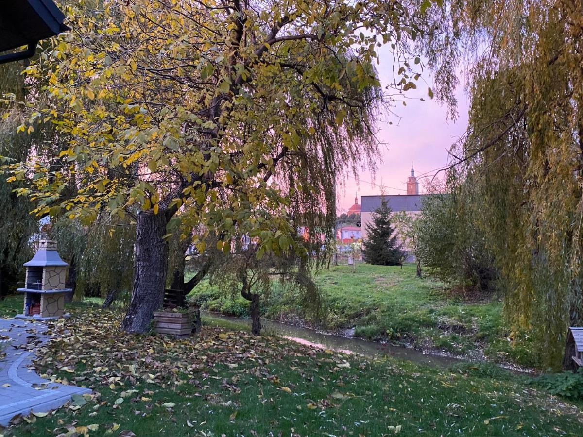 Apartamenty - Pod Wierzbami Dwikozy Buitenkant foto